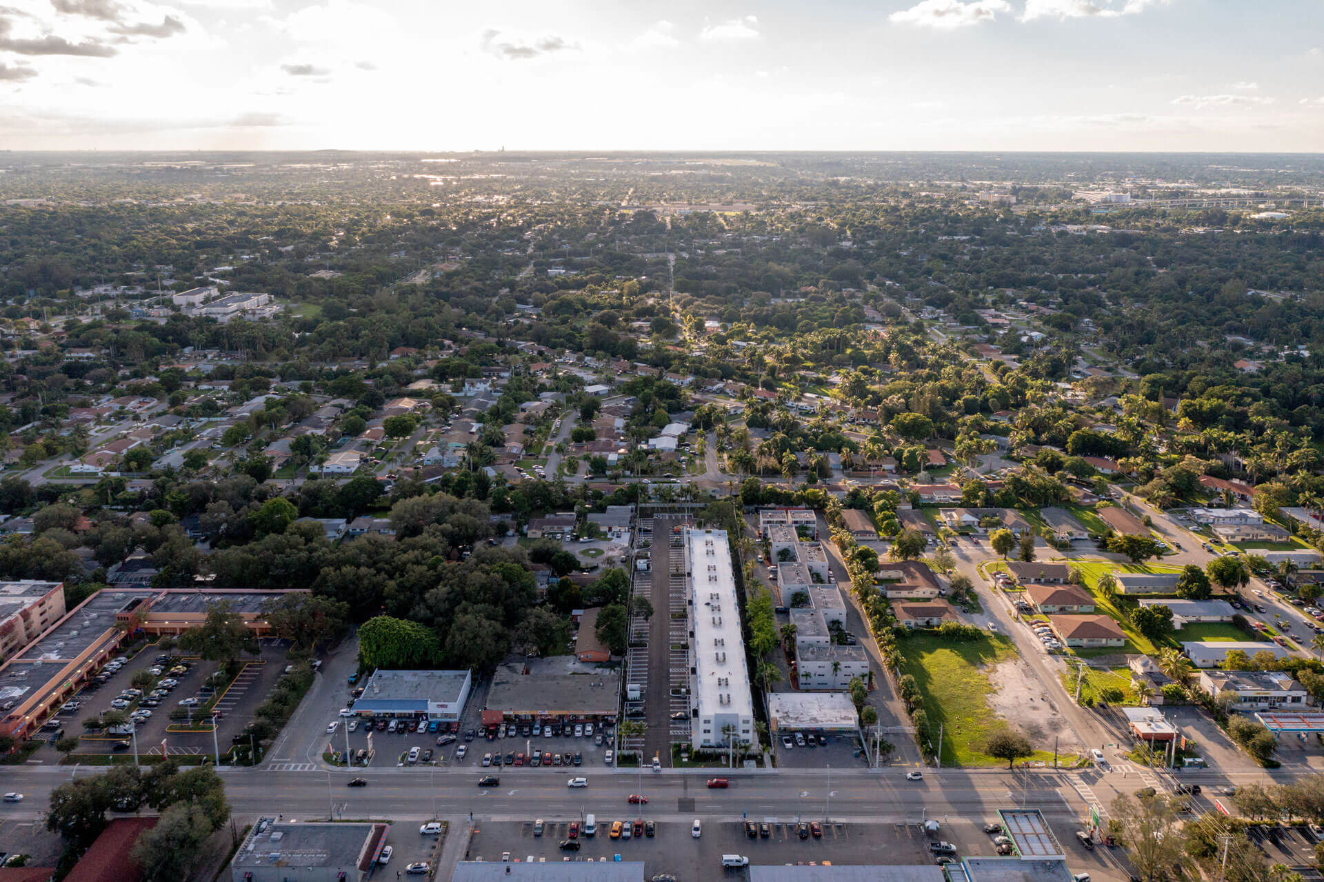 solid-oaks-gallery-7